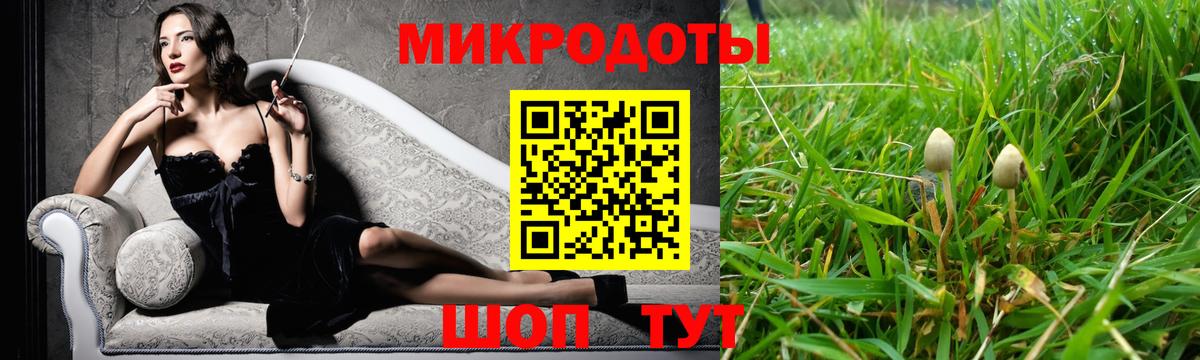 Псилоцибиновые грибы Psilocybine cubensis  Вход с VPN  Дзержинск 